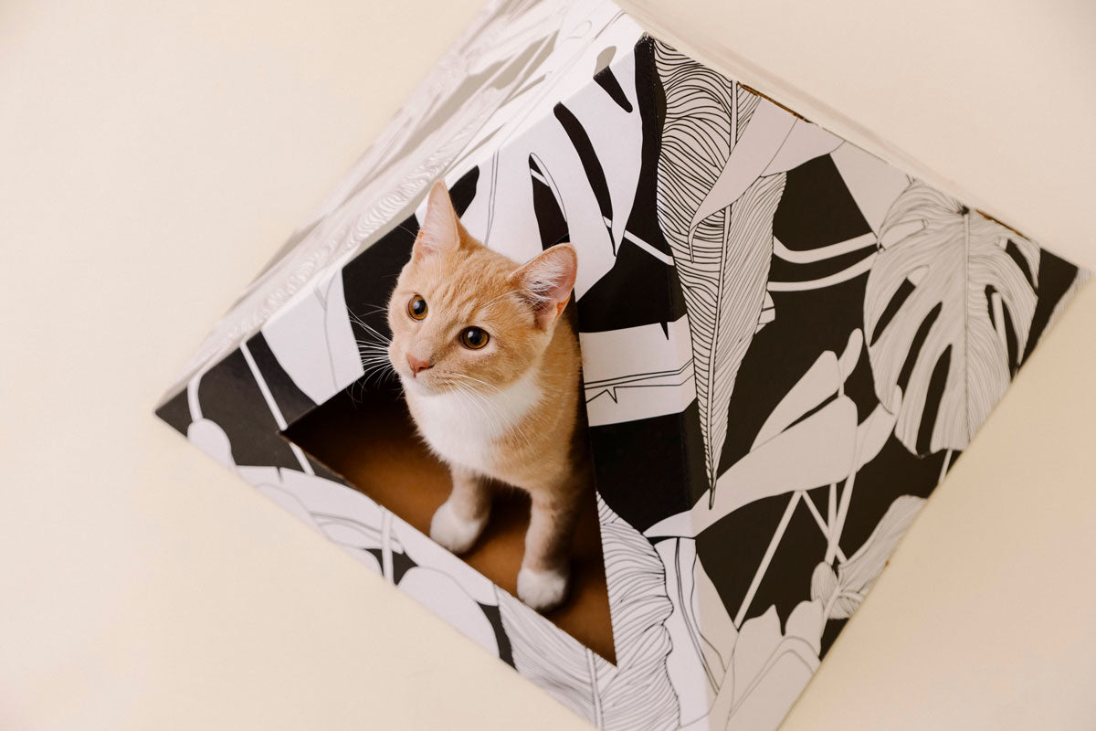 'Dark Paradise' Cardboard Cat Pyramid KittyKardboard