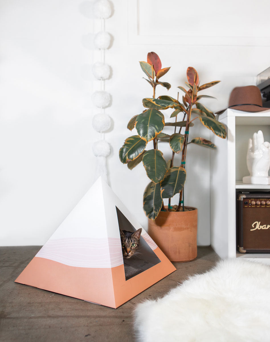 'Wavey' Cardboard Cat Pyramid KittyKardboard
