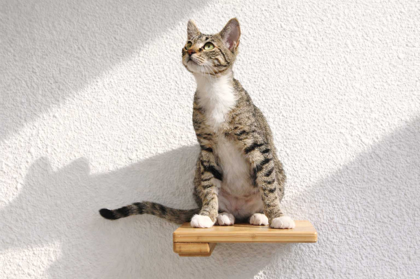 Cat Climbing Shelf Natural Bamboo None Cat shelves/bed Catastrophic Creations