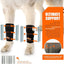 NeoAlly 3-in-1 Front Leg Dog Splint Brace: Rigid & Spring Inserts, Safety Reflective Straps (Pair) Neoallypets