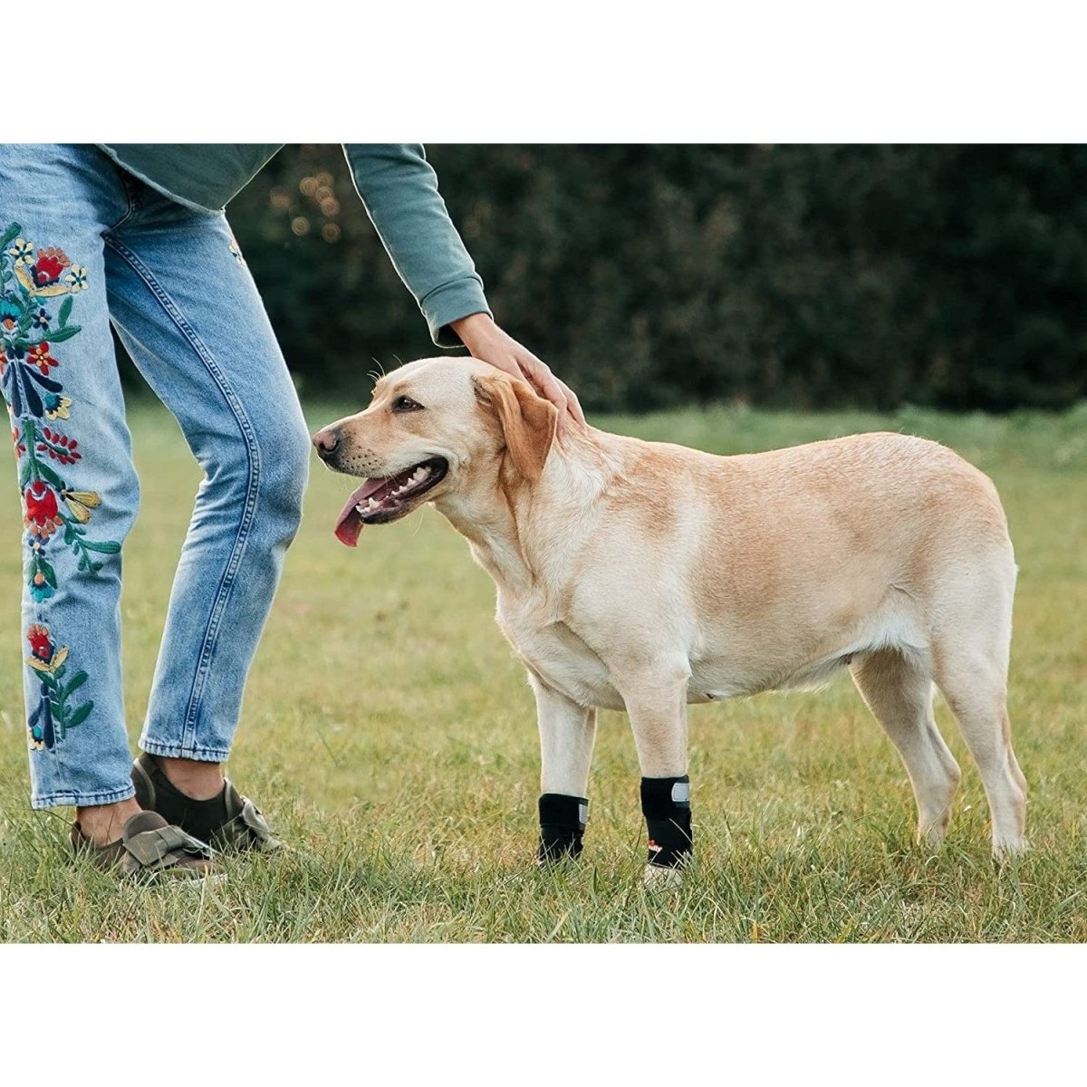 NeoAlly 3-in-1 Front Leg Dog Splint Brace: Rigid & Spring Inserts, Safety Reflective Straps (Pair) Neoallypets