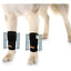 NeoAlly 3-in-1 Front Leg Dog Splint Brace: Rigid & Spring Inserts, Safety Reflective Straps (Pair) L XL Neoallypets