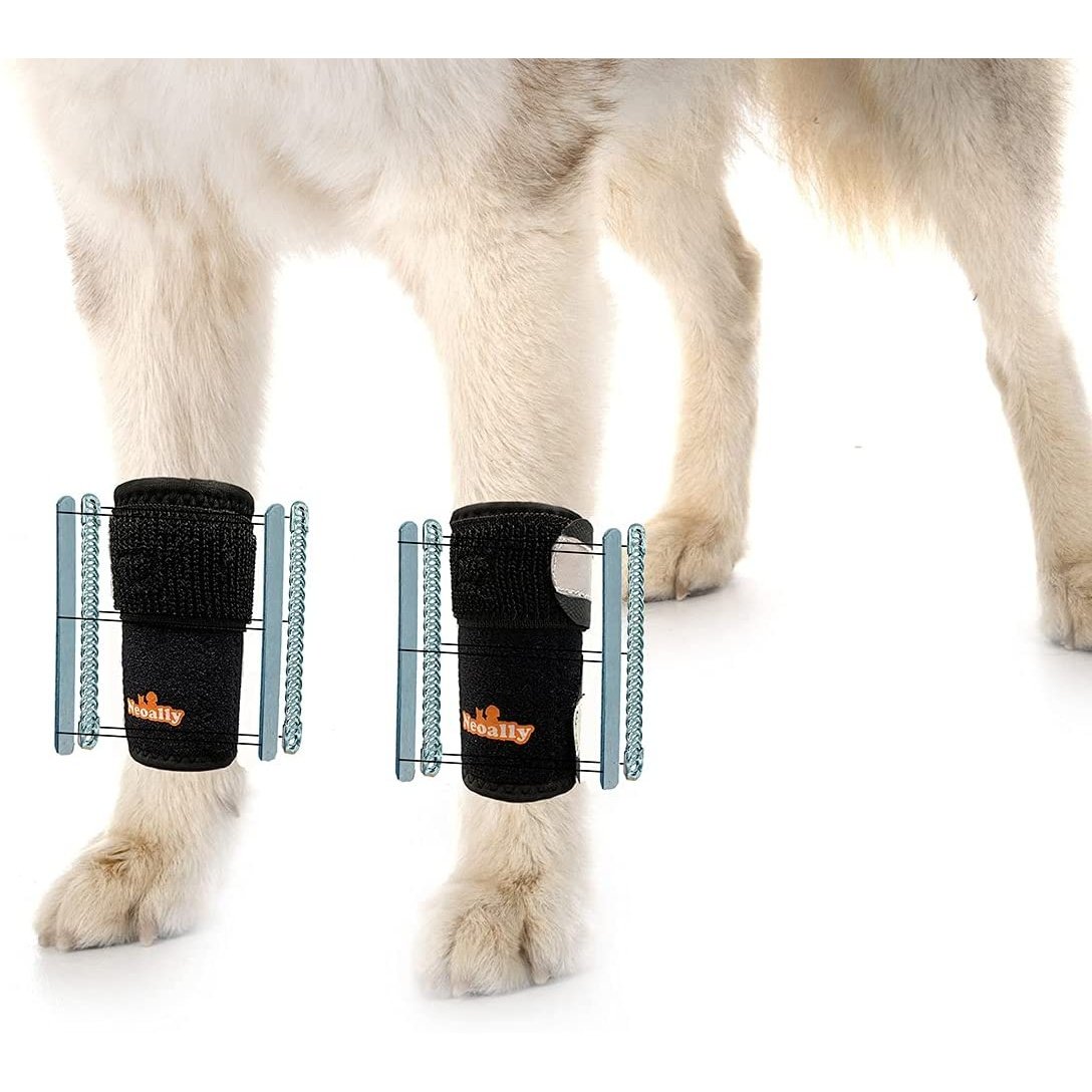 NeoAlly 3-in-1 Front Leg Dog Splint Brace: Rigid & Spring Inserts, Safety Reflective Straps (Pair) L XL Neoallypets
