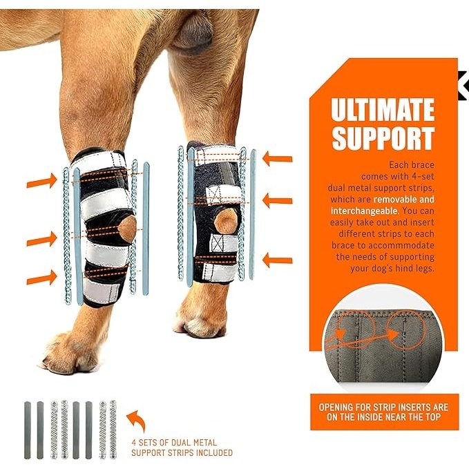 NeoAlly 3-in-1 Long Rear Leg Hock Brace - Rigid and Spring Inserts | Safety Reflective Straps [Long Version] (Pair) Neoallypets