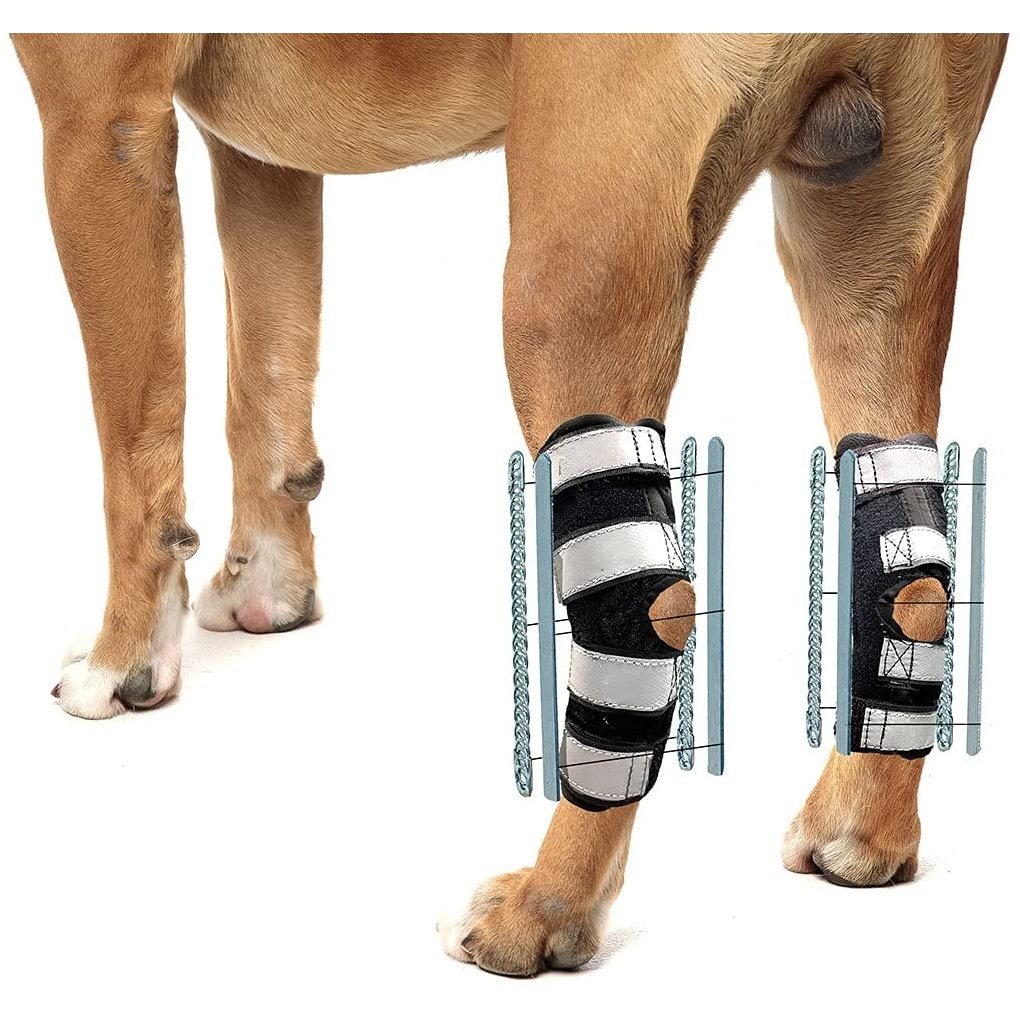 NeoAlly 3-in-1 Long Rear Leg Hock Brace - Rigid and Spring Inserts | Safety Reflective Straps [Long Version] (Pair) X Large Neoallypets