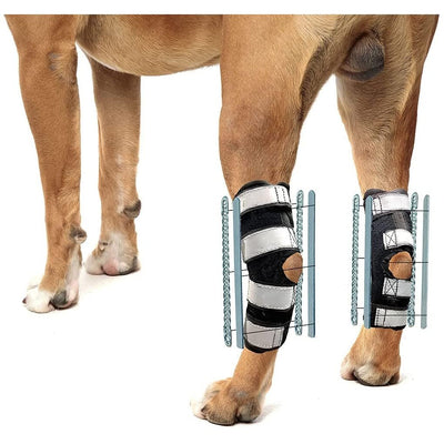 NeoAlly 3-in-1 Long Rear Leg Hock Brace - Rigid and Spring Inserts | Safety Reflective Straps [Long Version] (Pair) X Large Neoallypets