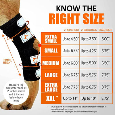 NeoAlly 3-in-1 Long Rear Leg Hock Brace - Rigid and Spring Inserts | Safety Reflective Straps [Long Version] (Pair) Neoallypets