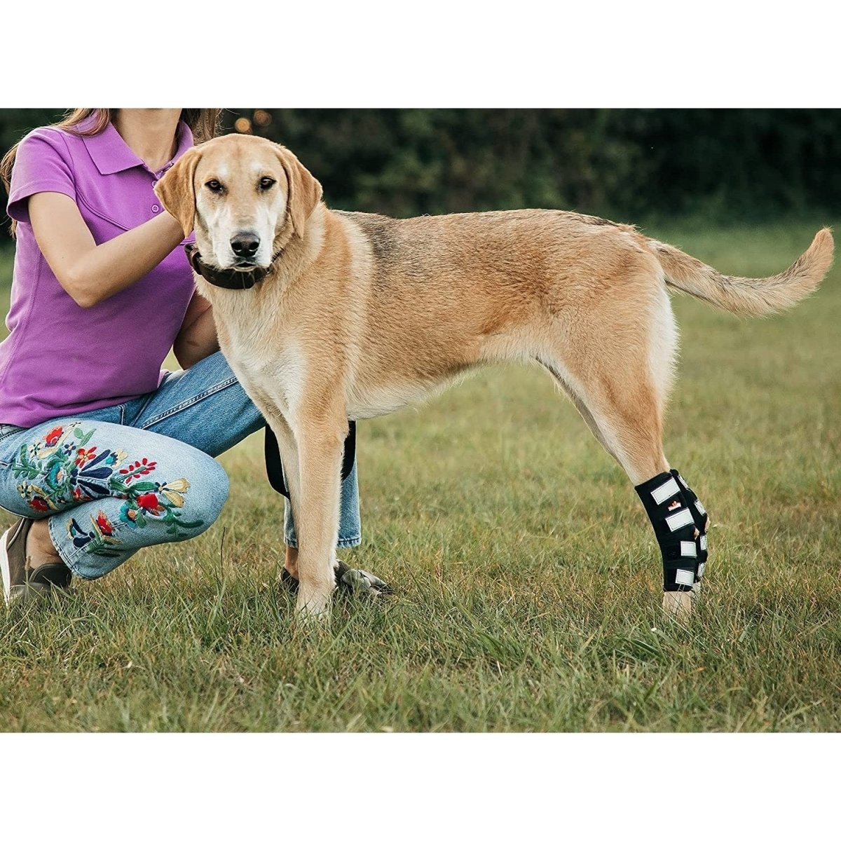 NeoAlly 3-in-1 Long Rear Leg Hock Brace - Rigid and Spring Inserts | Safety Reflective Straps [Long Version] (Pair) Neoallypets