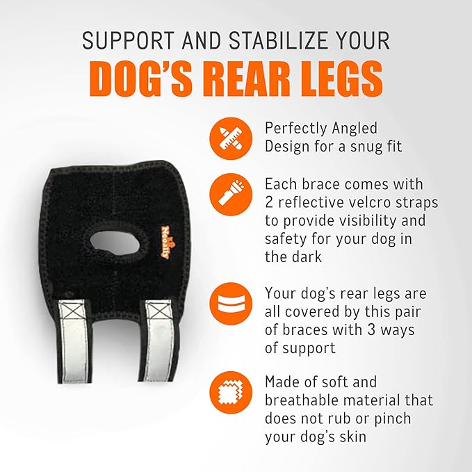 NeoAlly 3-in-1 Short Rear Leg Hock Brace for Smaller Dogs with Rigid and Spring Inserts | Safety Reflective Straps [Short Version] (Pair) Neoallypets
