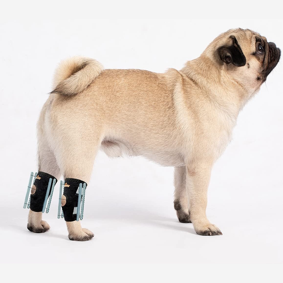 NeoAlly 3-in-1 Short Rear Leg Hock Brace for Smaller Dogs with Rigid and Spring Inserts | Safety Reflective Straps [Short Version] (Pair) X Large Neoallypets