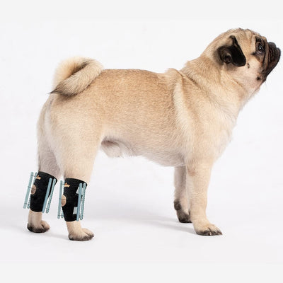 NeoAlly 3-in-1 Short Rear Leg Hock Brace for Smaller Dogs with Rigid and Spring Inserts | Safety Reflective Straps [Short Version] (Pair) X Large Neoallypets