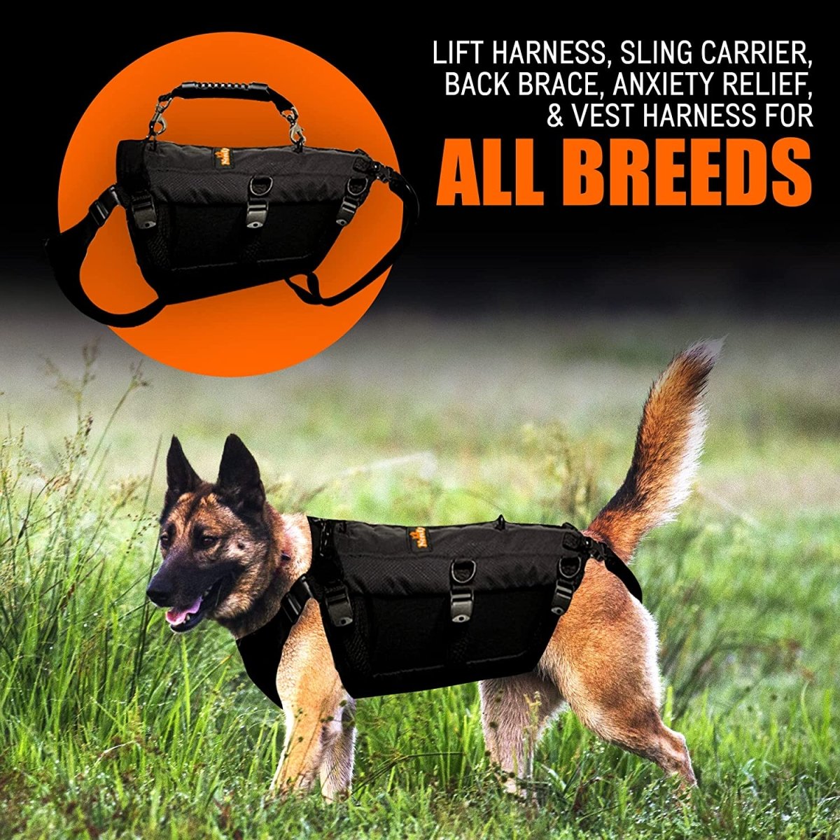 NeoAlly 5-in-1 Sturdy Dog Lift Harness Full Body Support Neoallypets