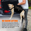 NeoAlly 5-in-1 Sturdy Dog Lift Harness Full Body Support Neoallypets