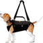 NeoAlly 5-in-1 Sturdy Dog Lift Harness Full Body Support X Large Pro Neoallypets