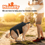 NeoAlly Dog Back Brace for Dogs with Inserts for Extra Support Neoallypets