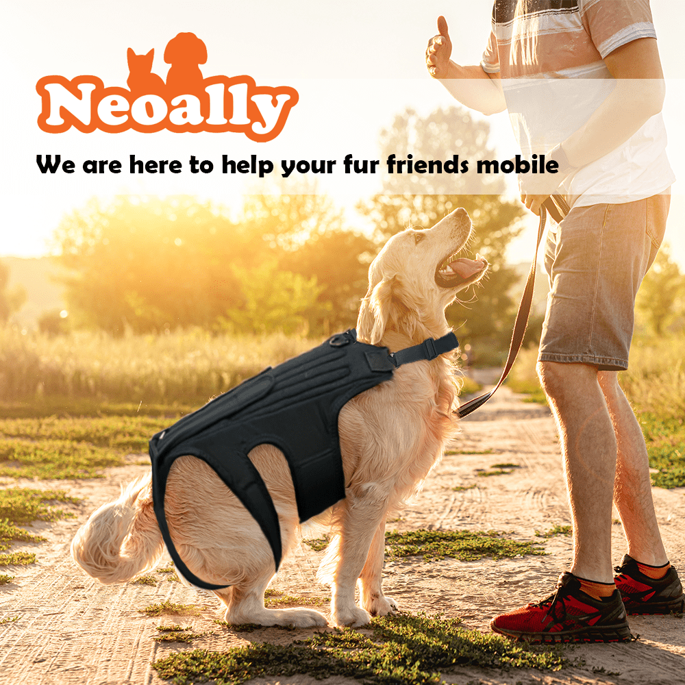 NeoAlly Dog Back Brace for Dogs with Inserts for Extra Support Neoallypets