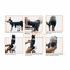 NeoAlly Dog Back Brace for Dogs with Inserts for Extra Support Neoallypets