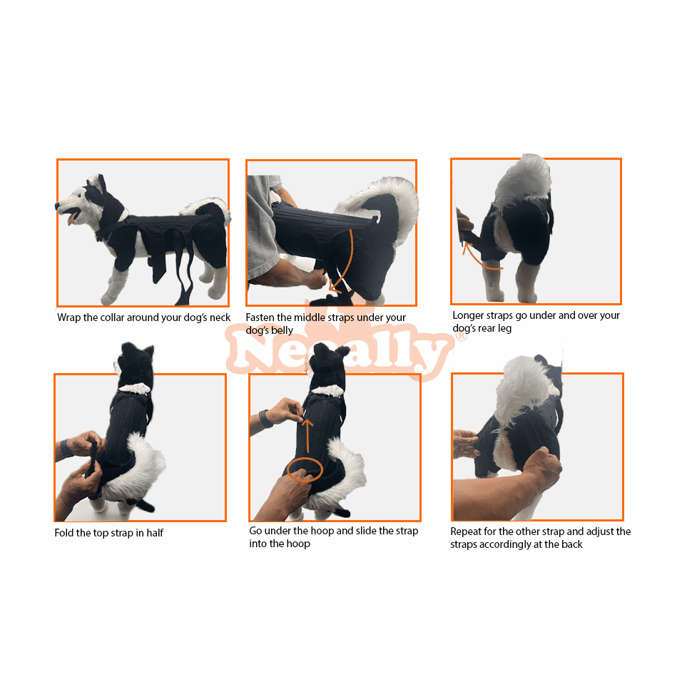 NeoAlly Dog Back Brace for Dogs with Inserts for Extra Support Neoallypets
