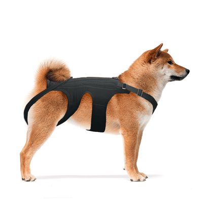 NeoAlly Dog Back Brace for Dogs with Inserts for Extra Support Neoallypets