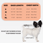 NeoAlly Dog Back Brace for Dogs with Inserts for Extra Support Neoallypets