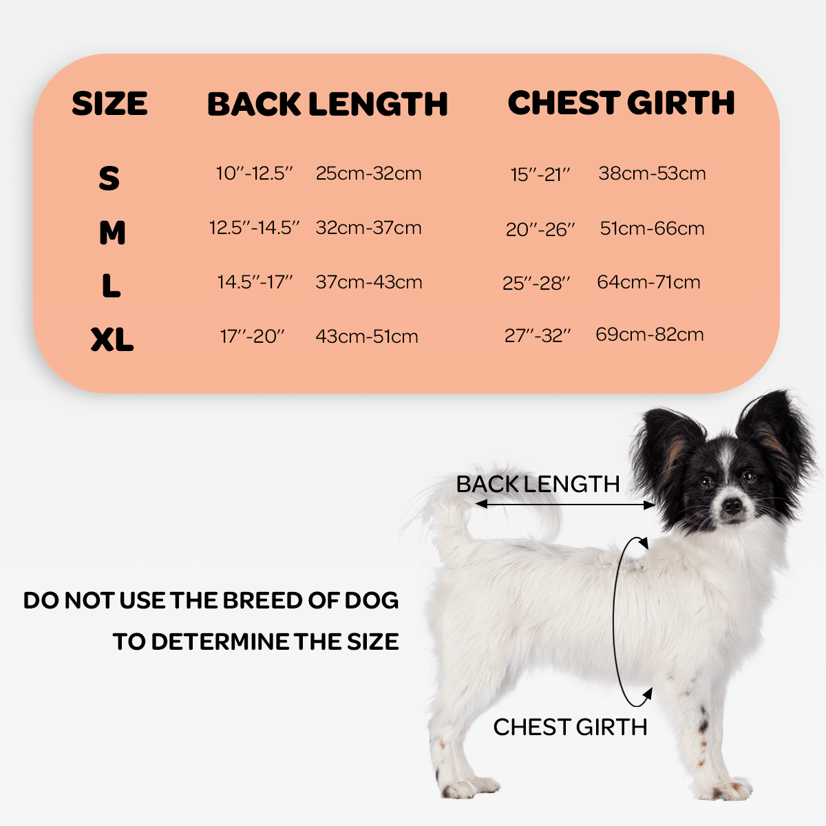 NeoAlly Dog Back Brace for Dogs with Inserts for Extra Support Neoallypets