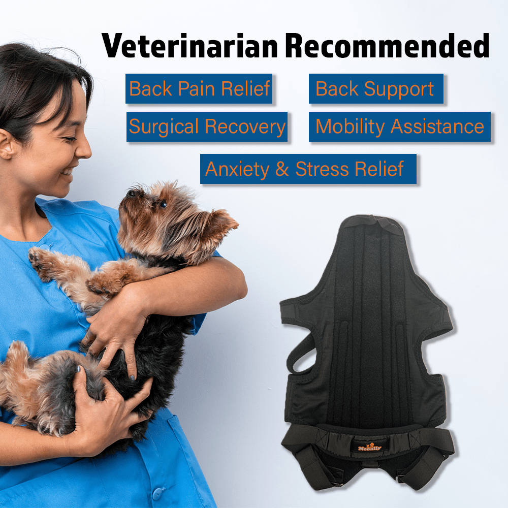 NeoAlly Dog Back Brace for Dogs with Inserts for Extra Support Neoallypets