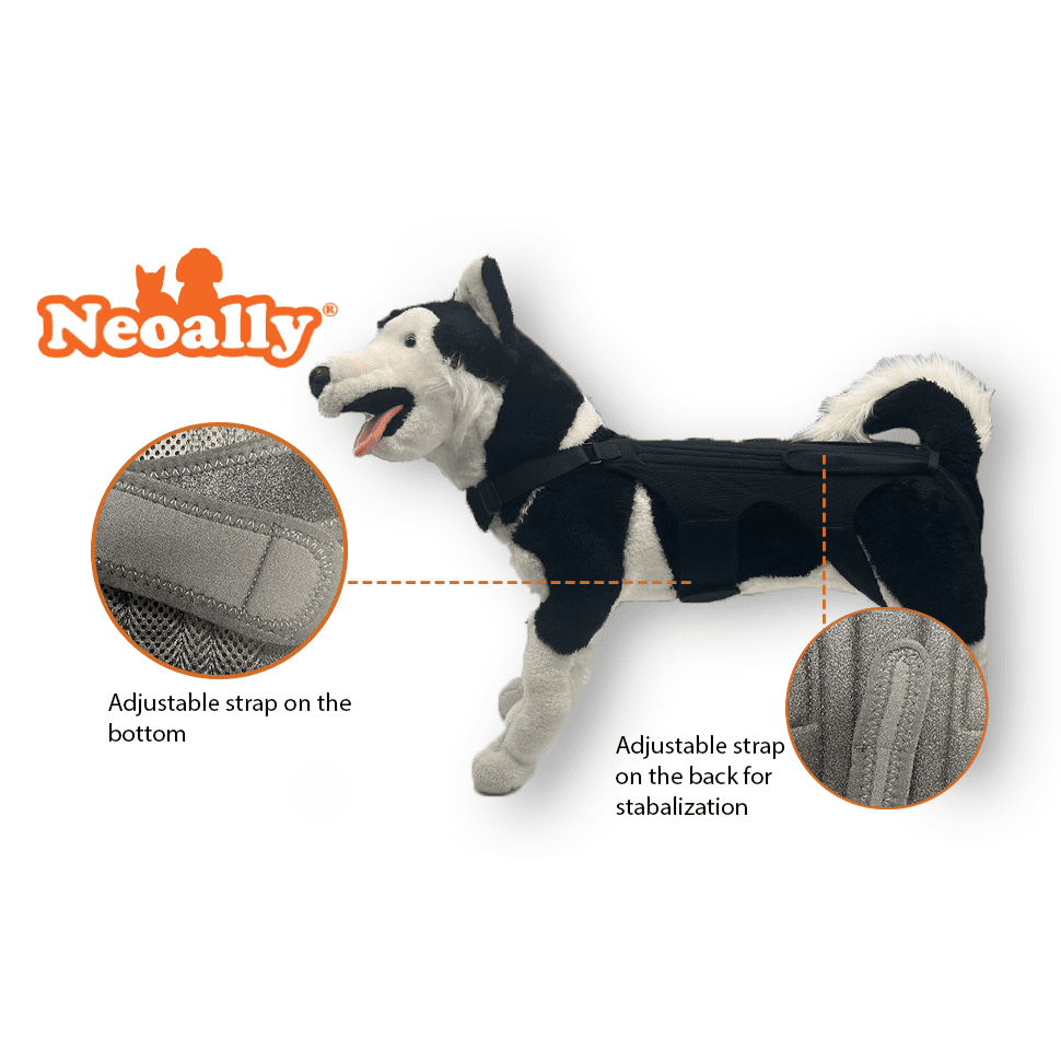NeoAlly Dog Back Brace for Dogs with Inserts for Extra Support Neoallypets
