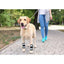 NeoAlly Dog Front Leg Brace with Reflective Straps - Metal Spring Inserts for Carpal Support (Pair) Neoallypets