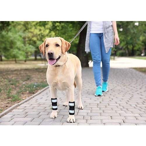 NeoAlly Dog Front Leg Brace with Reflective Straps - Metal Spring Inserts for Carpal Support (Pair) Neoallypets