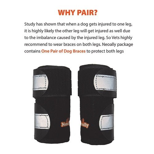 NeoAlly Dog Front Leg Brace with Reflective Straps - Metal Spring Inserts for Carpal Support (Pair) Neoallypets