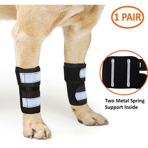 NeoAlly Dog Front Leg Brace with Reflective Straps - Metal Spring Inserts for Carpal Support (Pair) L XL Neoallypets