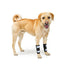 NeoAlly Dog Front Leg Brace with Reflective Straps - Metal Spring Inserts for Carpal Support (Pair) Neoallypets