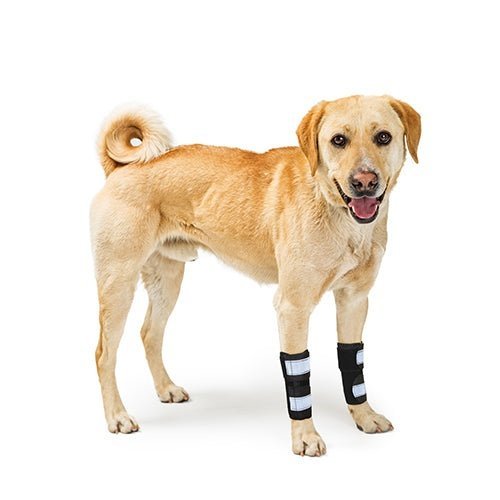 NeoAlly Dog Front Leg Brace with Reflective Straps - Metal Spring Inserts for Carpal Support (Pair) Neoallypets