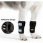 NeoAlly Dog Front Leg Braces: Enhance Safety with Reflective Straps (Pair) Neoallypets