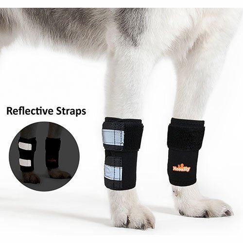 NeoAlly Dog Front Leg Braces: Enhance Safety with Reflective Straps (Pair) Neoallypets