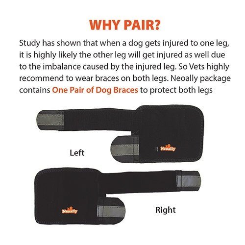 NeoAlly Dog Front Leg Braces: Enhance Safety with Reflective Straps (Pair) Neoallypets