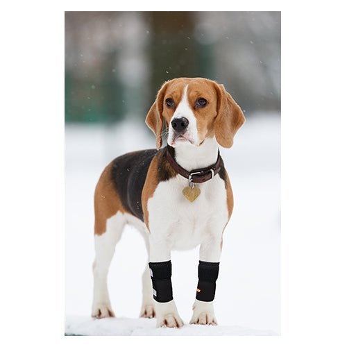 NeoAlly Dog Front Leg Braces: Enhance Safety with Reflective Straps (Pair) Neoallypets