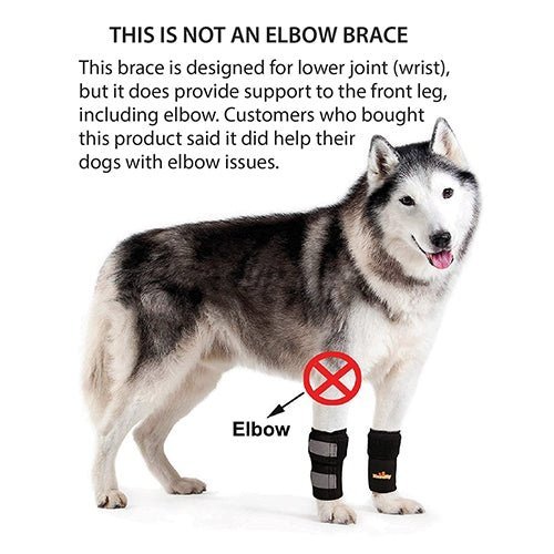 NeoAlly Dog Front Leg Braces: Enhance Safety with Reflective Straps (Pair) Neoallypets