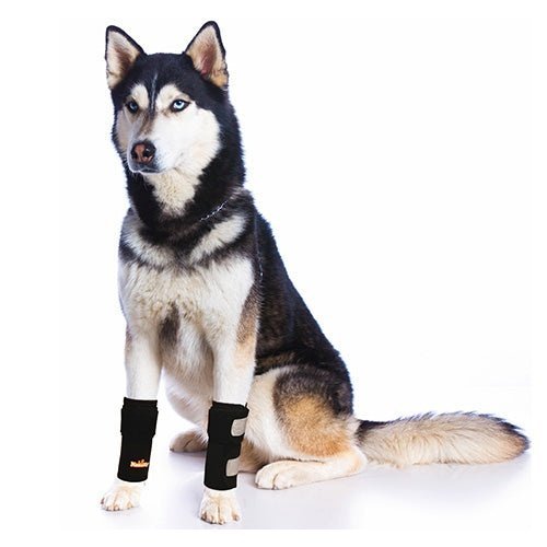 NeoAlly Dog Front Leg Braces: Enhance Safety with Reflective Straps (Pair) Neoallypets