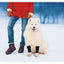 NeoAlly Dog Front Leg Braces: Enhance Safety with Reflective Straps (Pair) Neoallypets
