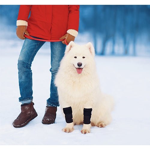 NeoAlly Dog Front Leg Braces: Enhance Safety with Reflective Straps (Pair) Neoallypets