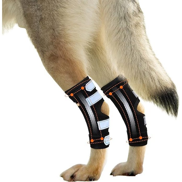 NeoAlly Dog Rear Leg Hock Brace with Metal Spring Strips for Large Dogs [Long Version] (Pair) Neoallypets