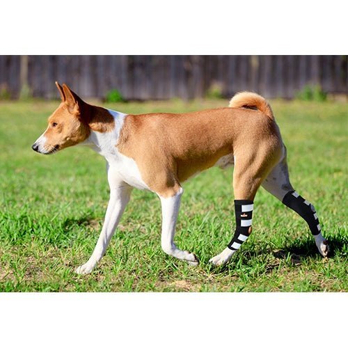NeoAlly Dog Rear Leg Hock Brace with Metal Spring Strips for Large Dogs [Long Version] (Pair) Neoallypets