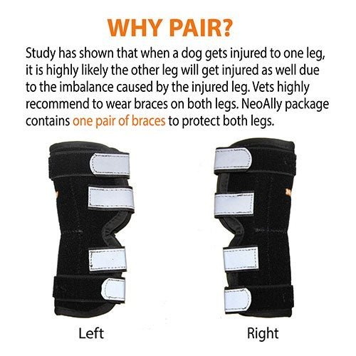 NeoAlly Dog Rear Leg Hock Brace with Metal Spring Strips for Large Dogs [Long Version] (Pair) Neoallypets