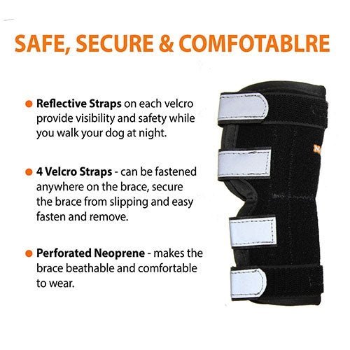 NeoAlly Dog Rear Leg Hock Brace with Metal Spring Strips for Large Dogs [Long Version] (Pair) Neoallypets
