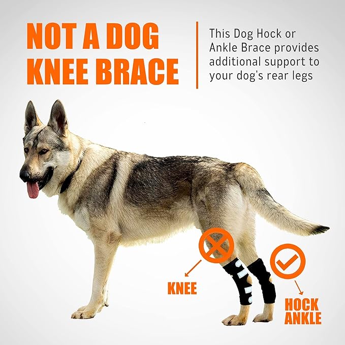 NeoAlly Dog Rear Leg Hock Brace with Metal Spring Strips for Large Dogs [Long Version] (Pair) Neoallypets