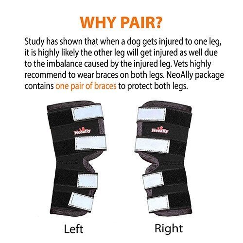 NeoAlly Dog Rear Leg Hock Brace with Safety Reflective Straps for Large Dogs [Long Version] Neoallypets