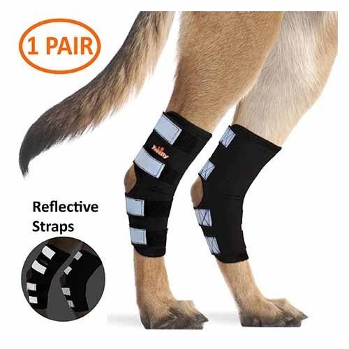 NeoAlly Dog Rear Leg Hock Brace with Safety Reflective Straps for Large Dogs [Long Version] Pair Neoallypets