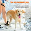 NeoAlly Dog Rear Leg Hock Brace with Safety Reflective Straps for Large Dogs [Long Version] Neoallypets