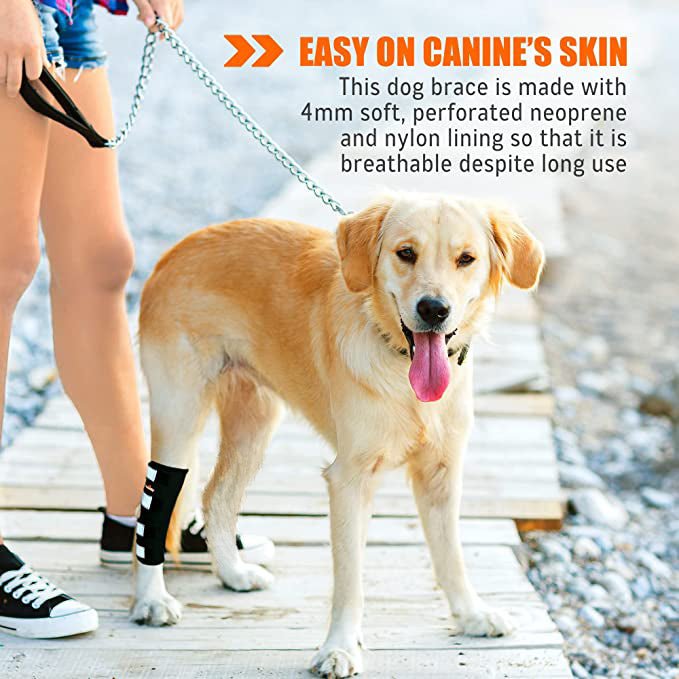 NeoAlly Dog Rear Leg Hock Brace with Safety Reflective Straps for Large Dogs [Long Version] Neoallypets